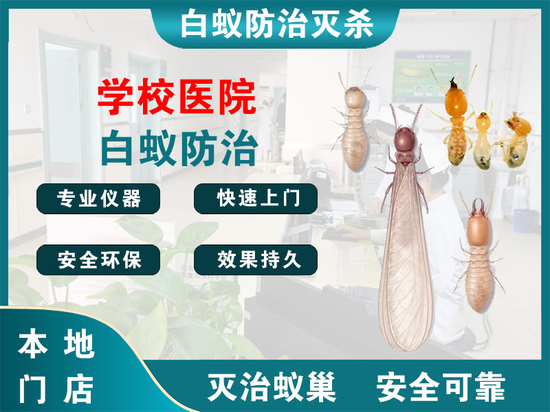泰兴学校医院白蚁防治