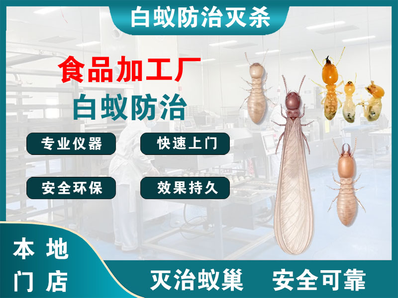 泰兴食品加工厂白蚁防治