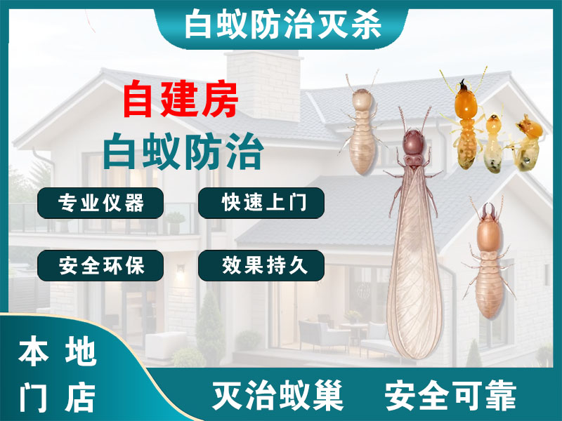 泰兴自建房白蚁防治