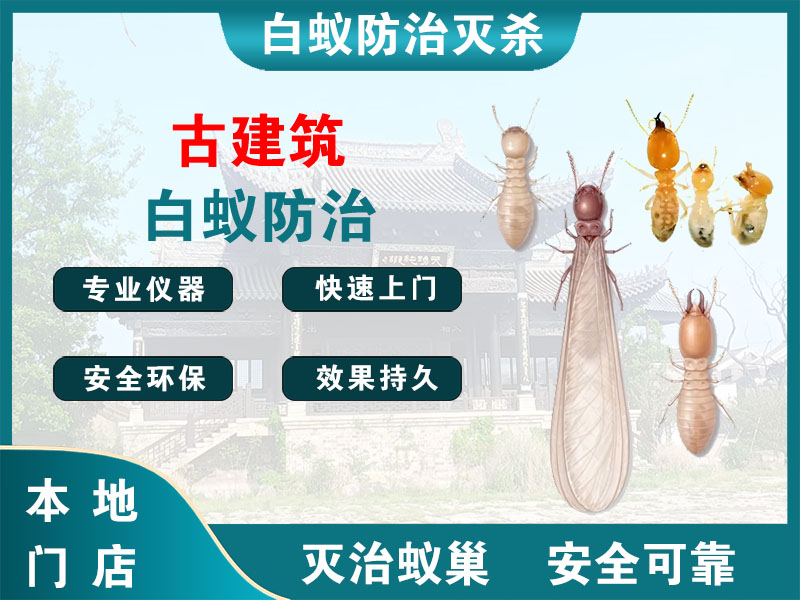 泰兴古建筑白蚁防治
