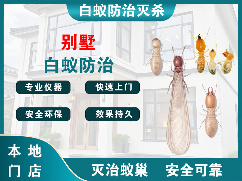 泰兴别墅白蚁防治