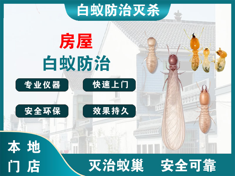 泰兴房屋白蚁防治